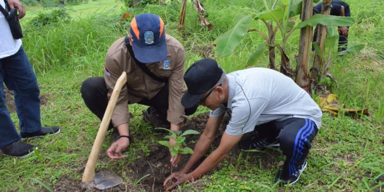 Tumbuhkan Rasa Peduli Lingkungan DPD LDII Pamekasan Tanam Pohon