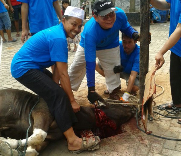 Berkah Penyembelihan Hewan Secara Islami Lembaga Dakwah 